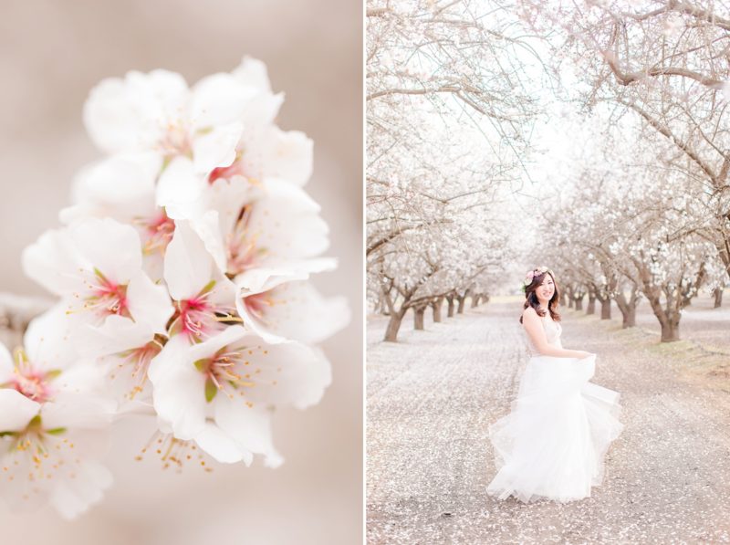 Bakersfield, California Almond Blossom Portraits Tiffany & James