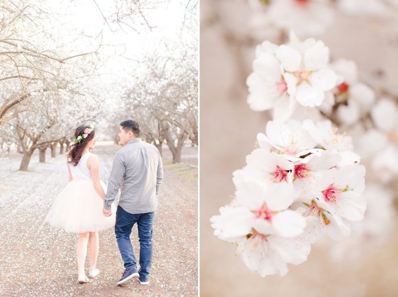 Bakersfield, California Almond Blossom Portraits Tiffany & James